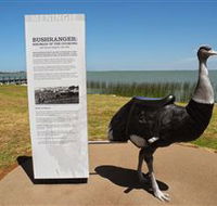Birdman of the Coorong - Tweed Heads Accommodation