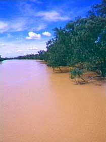 Warrego River - Tweed Heads Accommodation 0