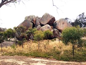 Mount Boothby Conservation Park - Tweed Heads Accommodation 0