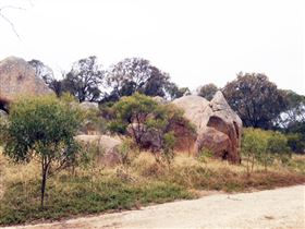 Mount Boothby Conservation Park - Tweed Heads Accommodation 1