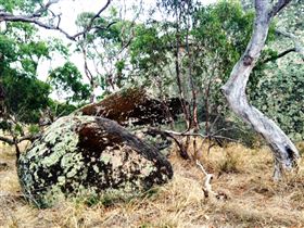 Tolmer Rocks - Tweed Heads Accommodation 2