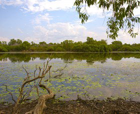 Yurmikmik Walks - Tweed Heads Accommodation 0
