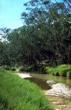Salvator Rosa Section - Carnarvon National Park - Tweed Heads Accommodation 0