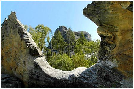 Salvator Rosa Section - Carnarvon National Park - Tweed Heads Accommodation 1