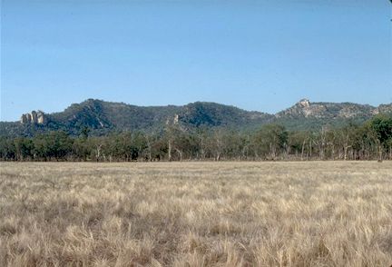 Salvator Rosa Section - Carnarvon National Park - Tweed Heads Accommodation 3
