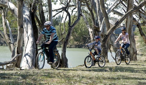 Yanga Woolshed Picnic Area - Tweed Heads Accommodation 1
