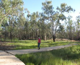 Ben Scott Memorial Bird Trail - Tweed Heads Accommodation 0