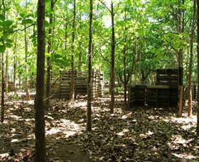 United Paintball - Tweed Heads Accommodation 2