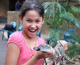 Crocodylus Park - Tweed Heads Accommodation 1