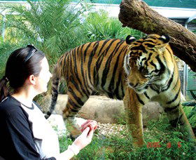 Crocodylus Park - Tweed Heads Accommodation 2