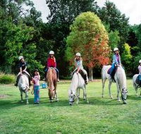 Limestone Coast Horseriding - Tweed Heads Accommodation