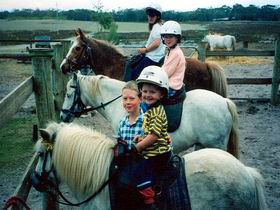 Limestone Coast Horseriding - Tweed Heads Accommodation 1