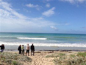 Beachport Surf Beach - Tweed Heads Accommodation 2