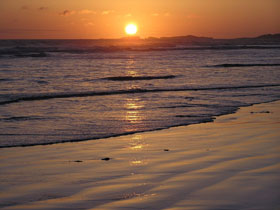 Beachport Surf Beach - Tweed Heads Accommodation 1