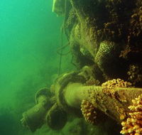 Wreck Diving at Magnetic Island - Tweed Heads Accommodation