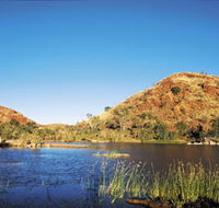 Chinaman's Pool and Picnic Area - Tweed Heads Accommodation