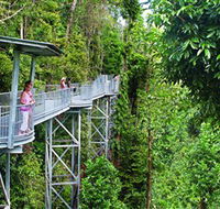 Mamu Tropical Skywalk - Tweed Heads Accommodation