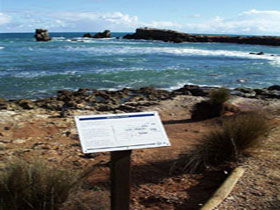Cape Buffon Walking Trail - Tweed Heads Accommodation 0