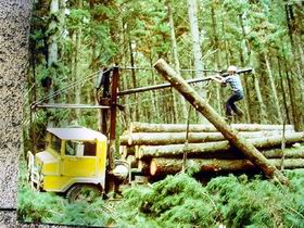 Nangwarry Forestry And Logging Museum - Tweed Heads Accommodation 3