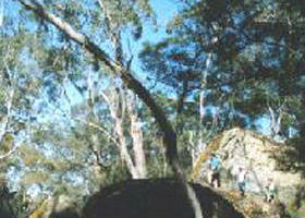Henty ACT Tweed Heads Accommodation