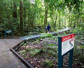 Josephine Falls, Wooroonooran National Park - Tweed Heads Accommodation 2