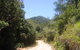 Mount Lewis National Park - thumb 2