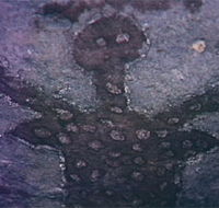 Quinkan Reserves Ancient Rock Art - Tweed Heads Accommodation