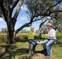 Restdown Wines and Walking Trail - Tweed Heads Accommodation