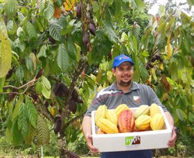 Sweet Farm Tours - Tweed Heads Accommodation 0