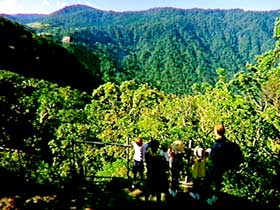 Eungella National Park - Tweed Heads Accommodation 3