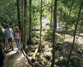Eungella National Park - Tweed Heads Accommodation 2