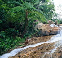 Finch Hatton Gorge - Tweed Heads Accommodation