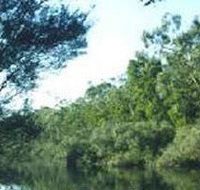 Crawford River Regional Park - Tweed Heads Accommodation