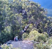 Mia Mia State Forest - Tweed Heads Accommodation