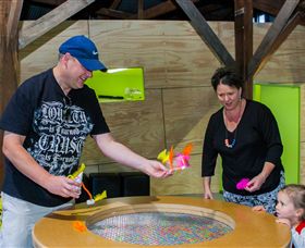 Twisted - Science At Play - Tweed Heads Accommodation 2