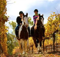 Billabong Ranch - Tweed Heads Accommodation
