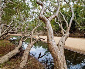 Coen QLD Tweed Heads Accommodation