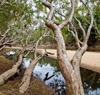 Oyala Thumotang National Park CYPAL - Tweed Heads Accommodation