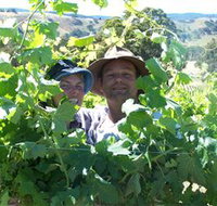 Wimmera Hills Winery - Tweed Heads Accommodation