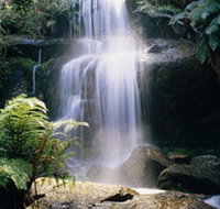 Mount Buangor State Park - Tweed Heads Accommodation
