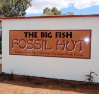 Big Fish Fossil Hut at Peak Hill - Tweed Heads Accommodation