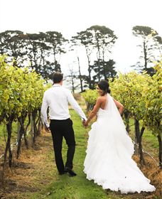 Quoin Hill Vineyard - Tweed Heads Accommodation 2