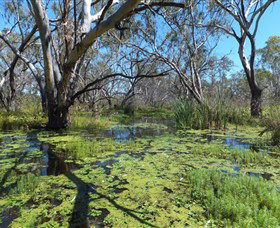 Macquarie Valley Trails - Tweed Heads Accommodation 0