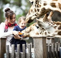 Taronga Western Plains Zoo Dubbo - Tweed Heads Accommodation