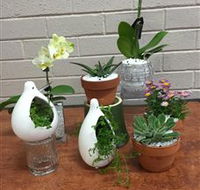 Cobram Florist - Tweed Heads Accommodation