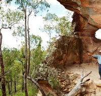 Pilliga National Park - Tweed Heads Accommodation