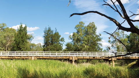 Pilliga National Park - Tweed Heads Accommodation 3