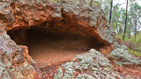 Pilliga National Park - Tweed Heads Accommodation 1