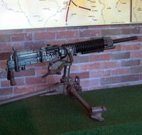 Woodpecker Gun - Tweed Heads Accommodation