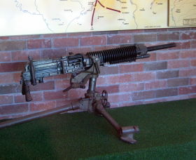 Woodpecker Gun - Tweed Heads Accommodation 0